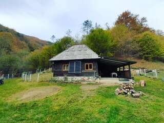 Фото Шале Cozy hut in the wild nature of Romania г. Rîmeţi-Cheia